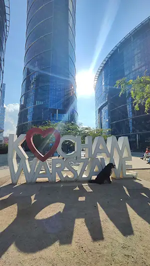 Voyager et travailler avec son chien