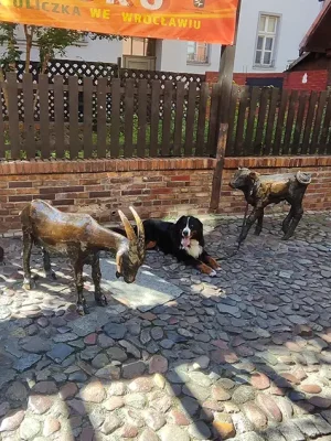 Rencontres inspirantes