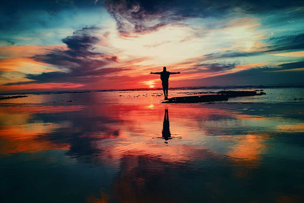 Une formation en WordPress pour être libre et autonome
