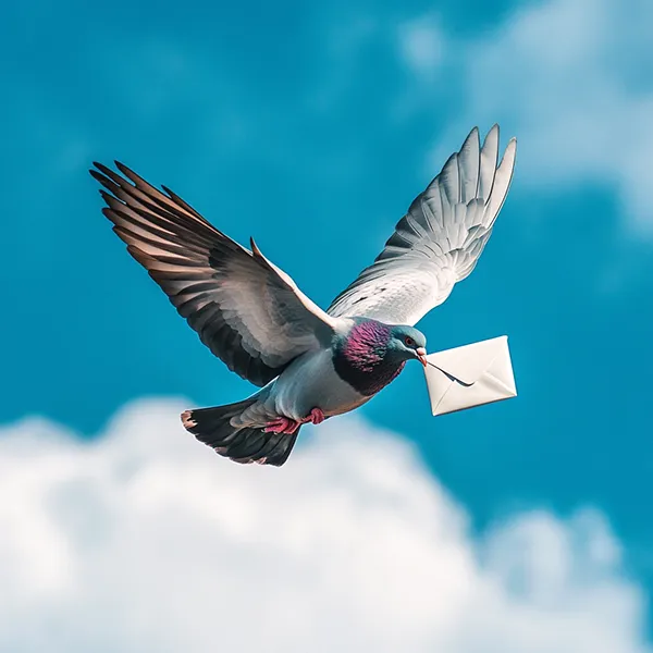 Pigeon voyageur transportant un mail