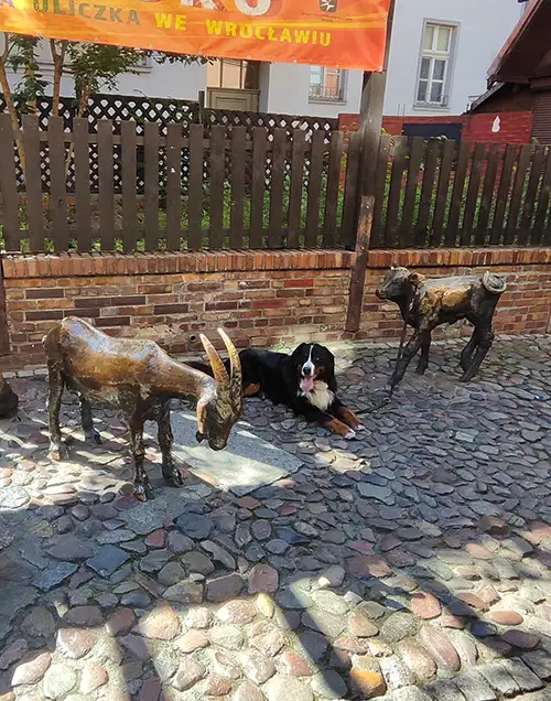 Rencontres inspirantes